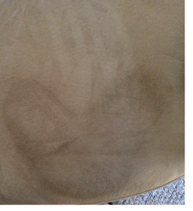 Remove hair spray from micro fiber love seat