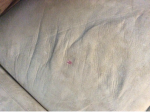 Removal of ink marker on micro finish sofa