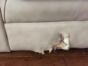 Leather sofa the puppy decided to chew on