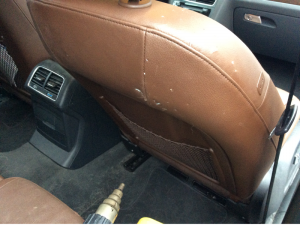 Leather chewing dog STRIKES AGAIN on moms Audi