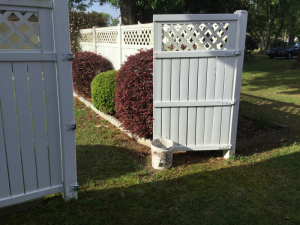 Fence Retrofit