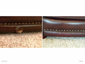 Pet Damage Repair