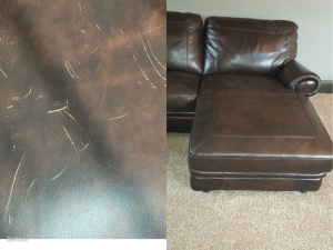 Pet damage repair