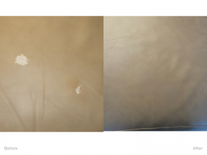 Sofa Cushion Repair