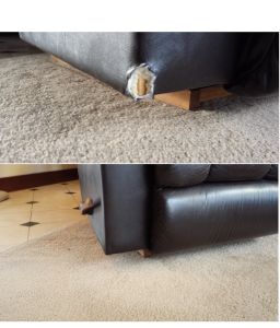 Greenwood family pet chewed a whole in this lazy boy chair