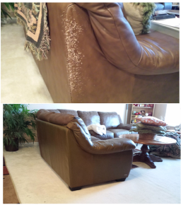 Kitty went to town on this sofa. Sucessful repairs made and kitty gets to stay!