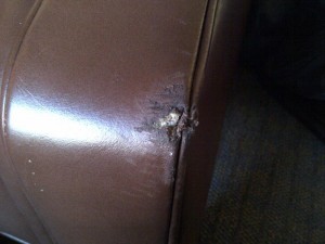 Leather sofa dog damage repair
