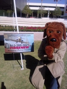 “Paws for a Cawse” @ Hixon Park