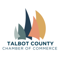 mobile service leather plastic vinyl fix