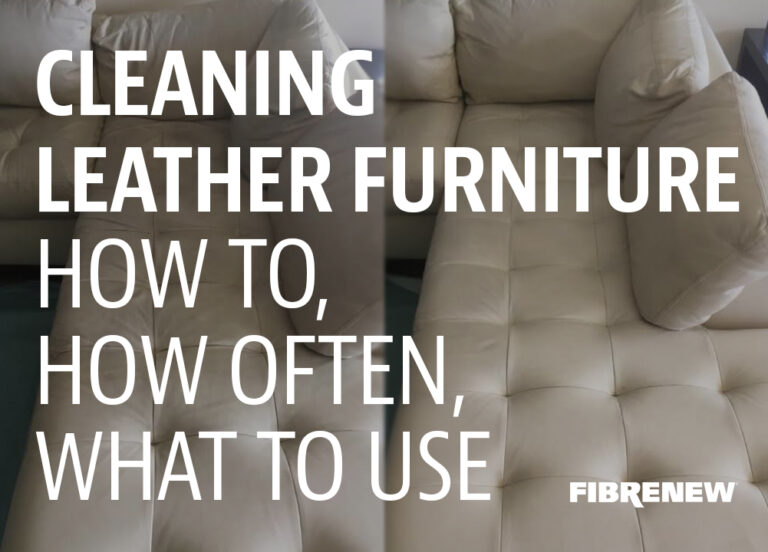 How to clean leather furniture Fibrenew International