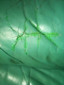 The results of a green do-it-yourself leather dye kit bought online