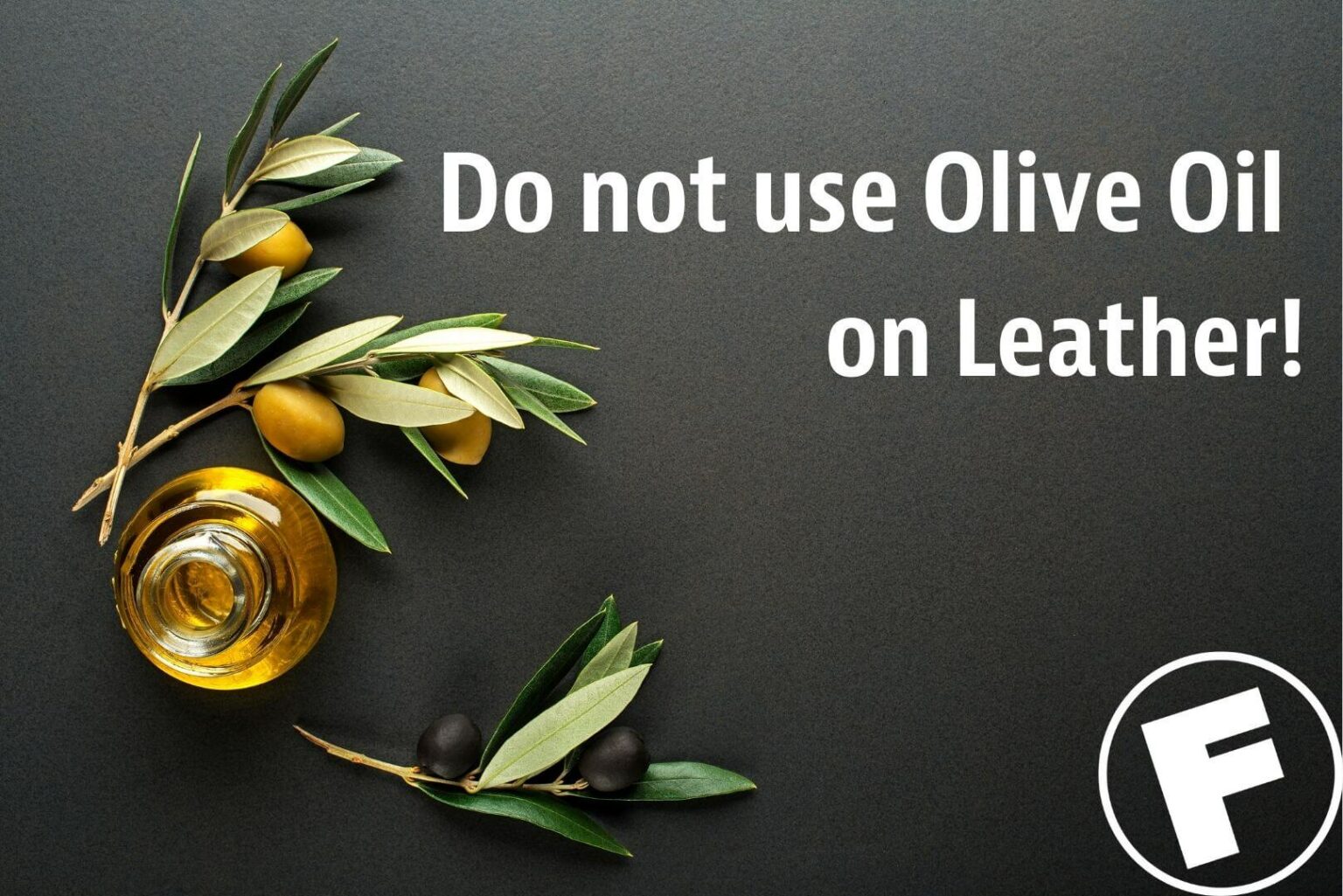 Can I use Olive Oil on my Leather Items? Fibrenew International