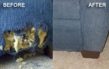 Pet Damage Couch Repair