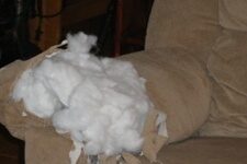 Common Misconceptions: How Much Damage is Too Much Damage to Repair on Furniture?