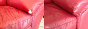 leather-furniture-pet-damage