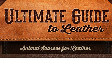 Ultimate Guide to Leather: Part 1 Animal Sources for Leather