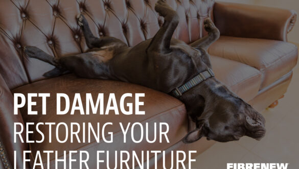 Restoring Pet Damage on Furniture