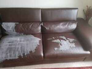 Bonded Leather Peeling