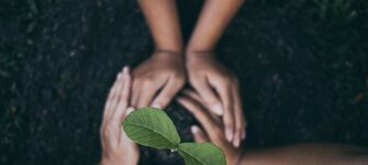 The Circular Economy and its Importance for Our Future