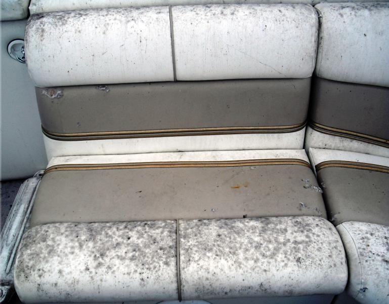 mildew covered boat seats