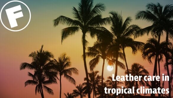 Leather Care in Tropical Climates