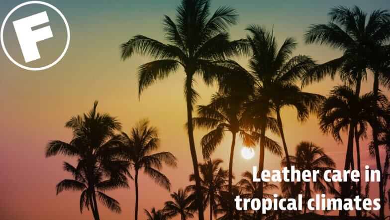 Leather Care in Tropical Climates