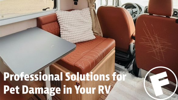Paws and Claws: Professional Solutions for Pet Damage in Your RV