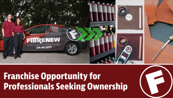 Franchise Opportunities for Professionals Seeking Business Ownership