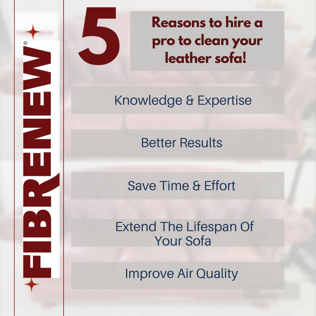 5 Reasons to hire a pro to clean your leather sofa!
