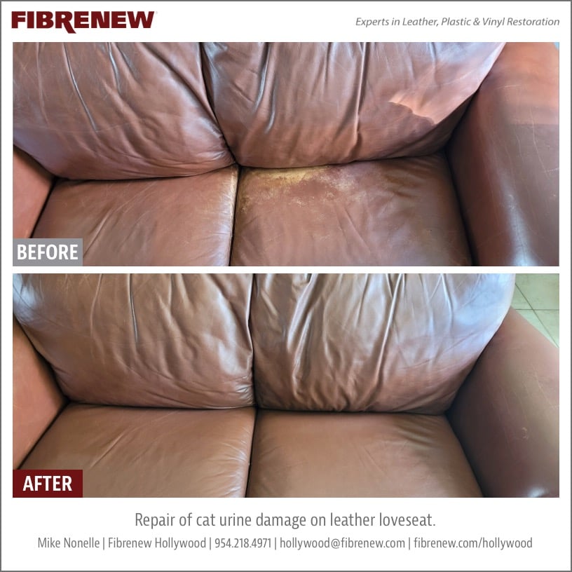 Leather Repair for Furniture, Couches, Sofas - Fibrenew