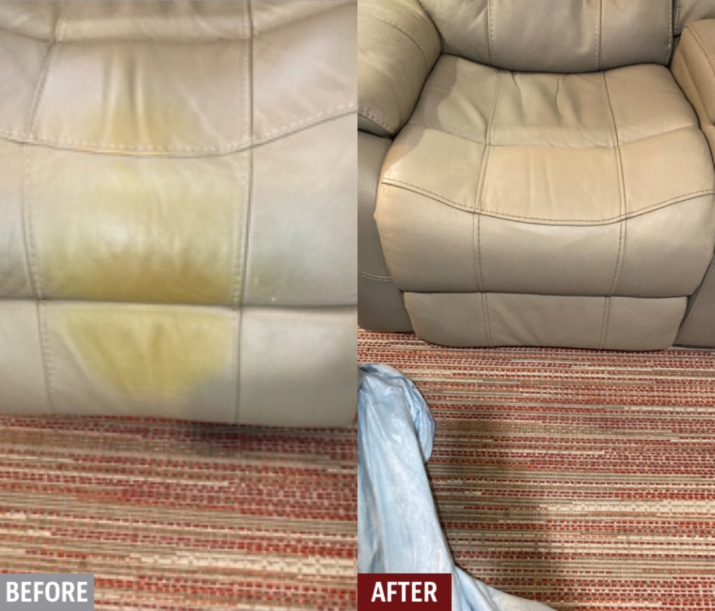 Natuzzi Leather Sofa Cushion Replacement Baci Living Room